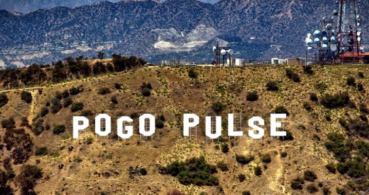 Pogo Pulse Hollywood